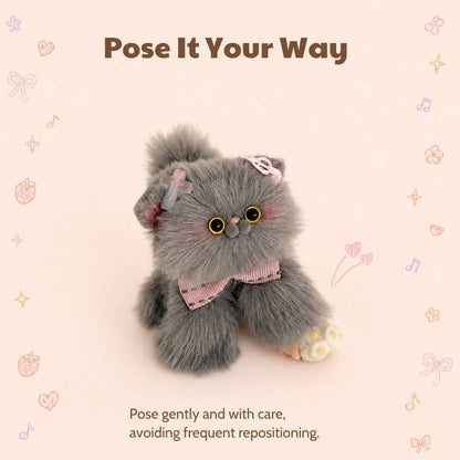 Grey Kitten Collection