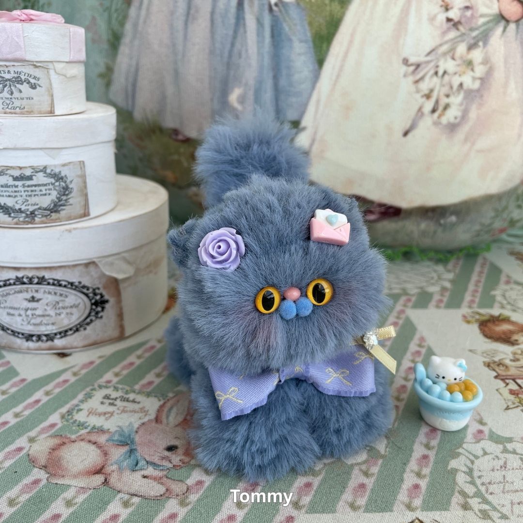 Fluffy Kitten Collection