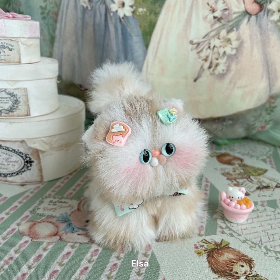 Fluffy Kitten Collection