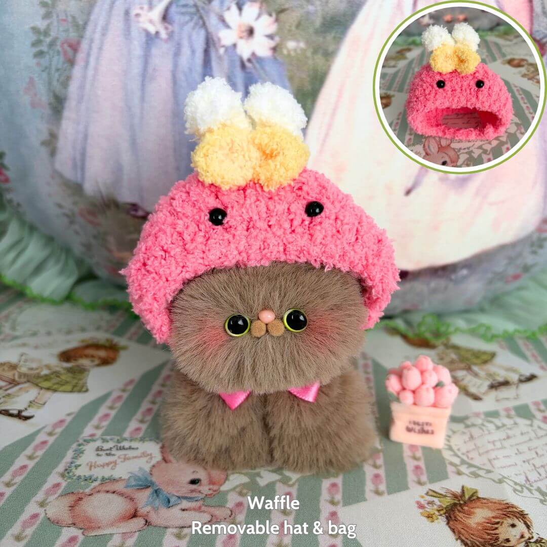 Fluffy Hoodie Kittens