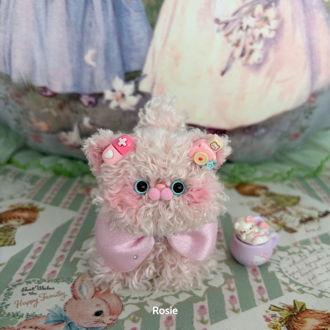 Dolly Kitten Collection