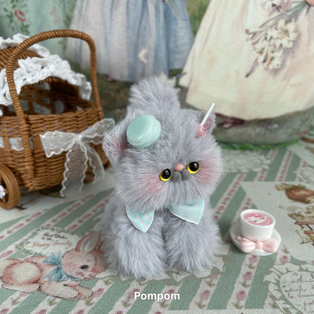 Gray Kitten Collection