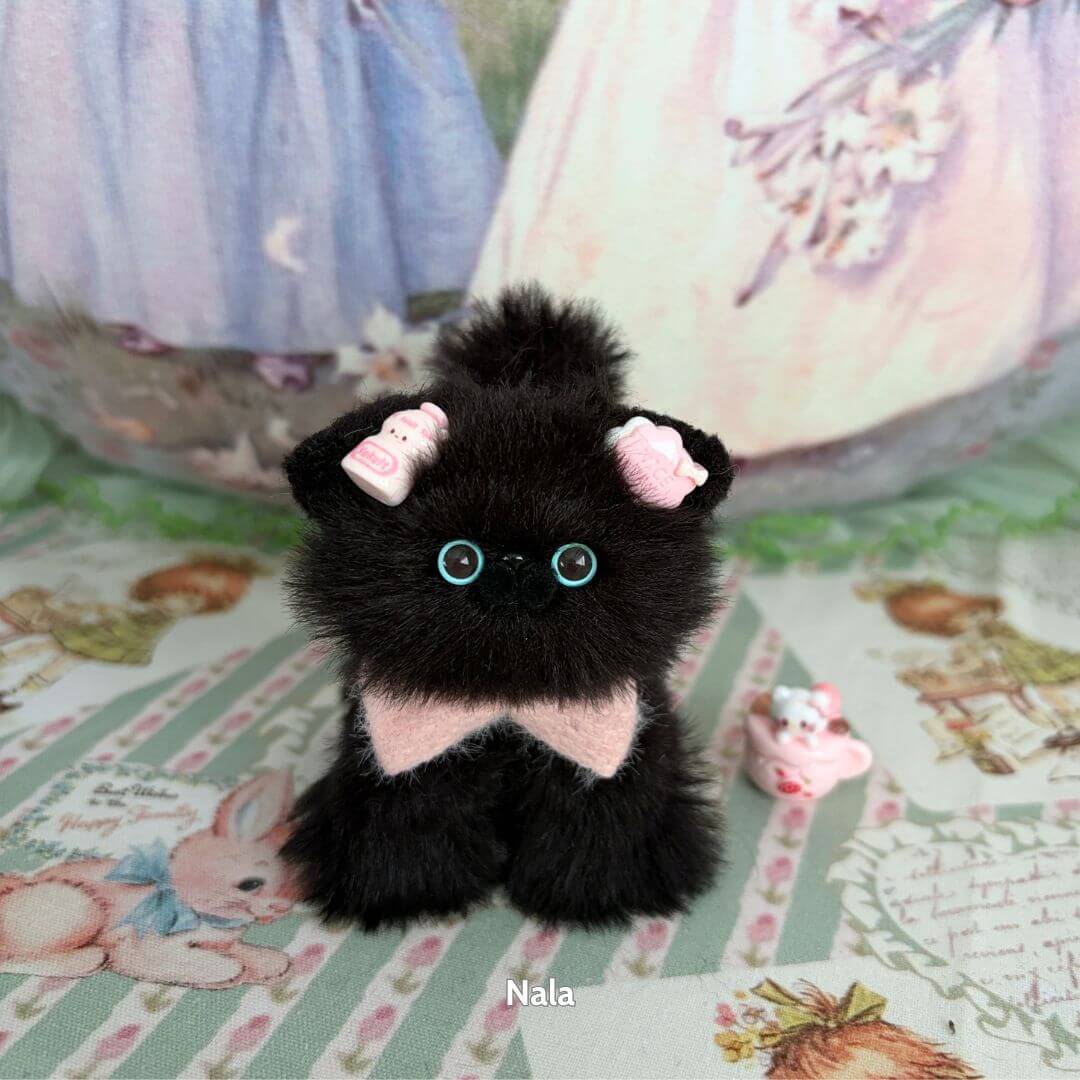 Black Kitten Collection