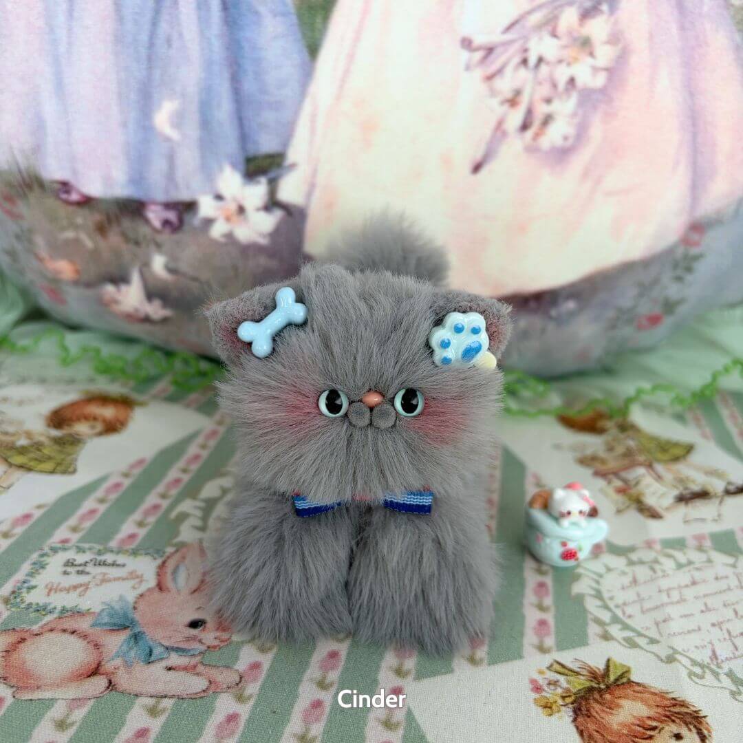 Grey Kitten Collection