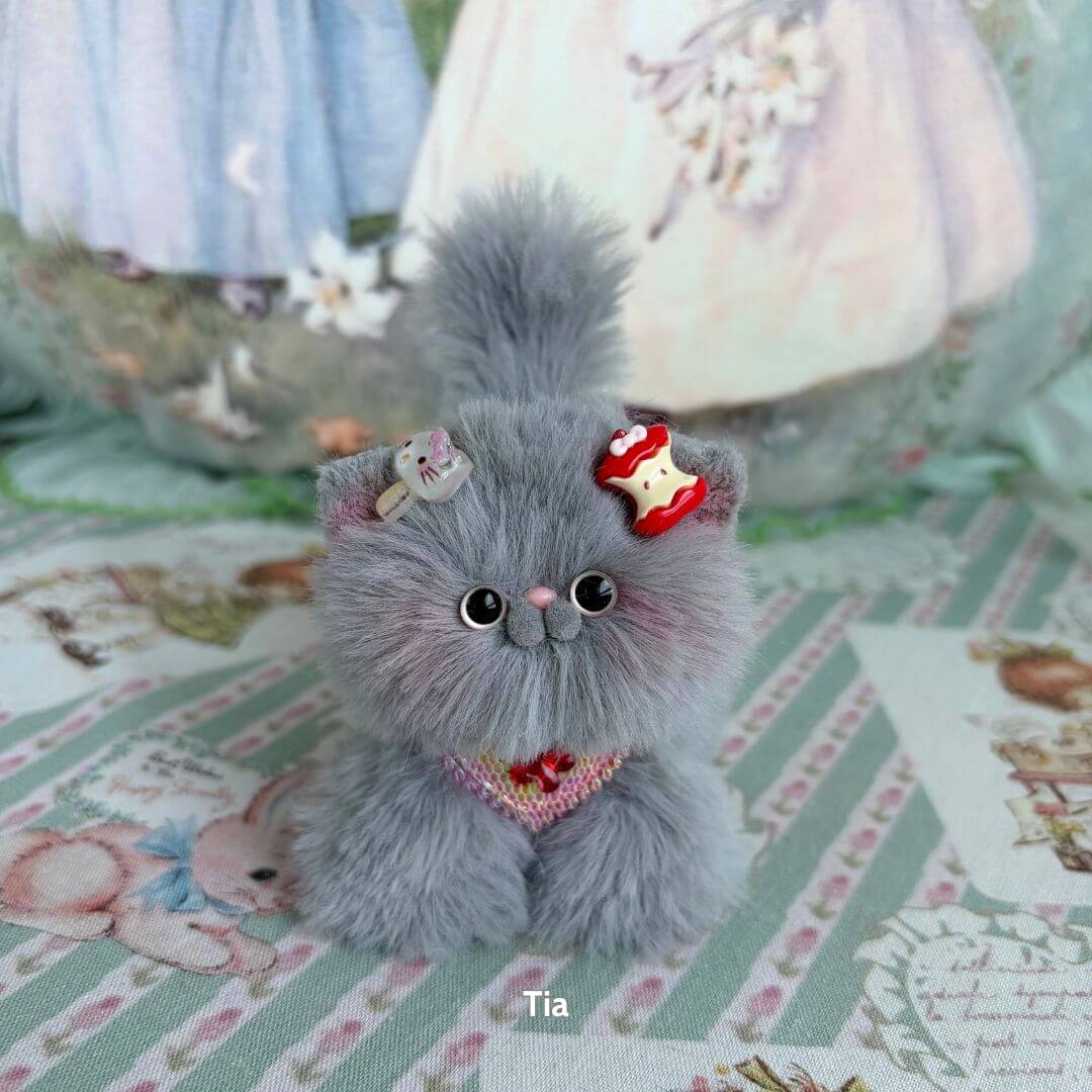 Grey Kitten Collection
