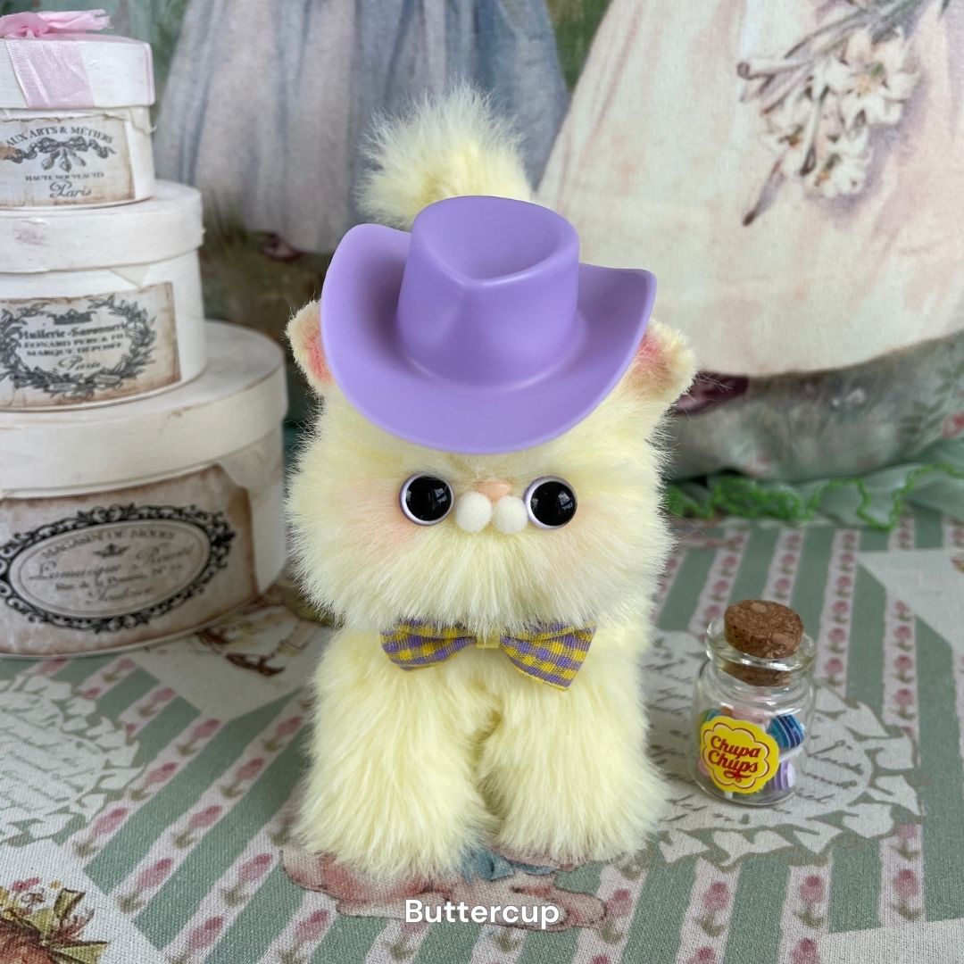 Dress-Up Kitten Collection