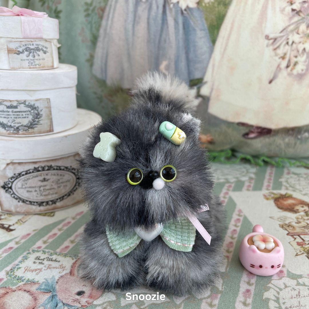 Fluffy Kitten Collection