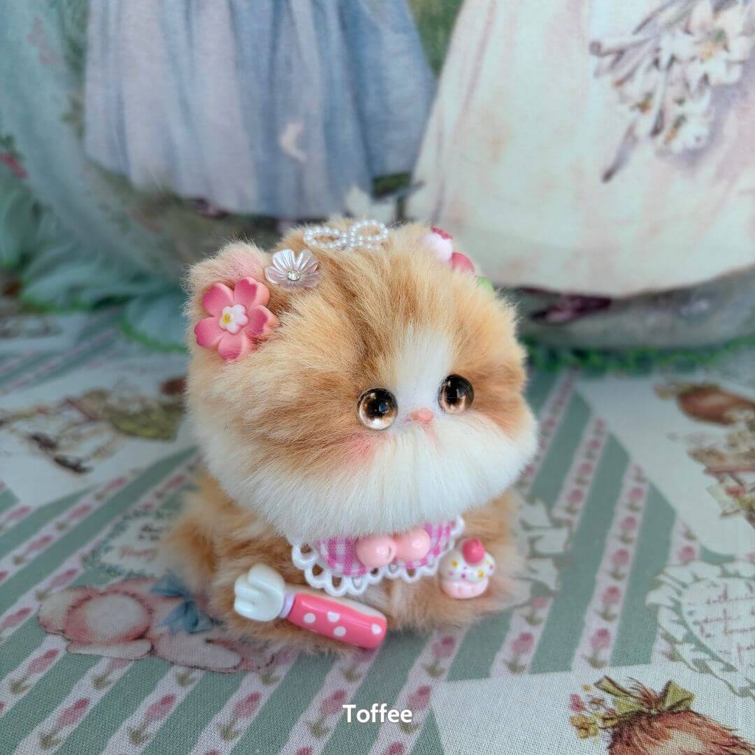 Fairy Paws Collection