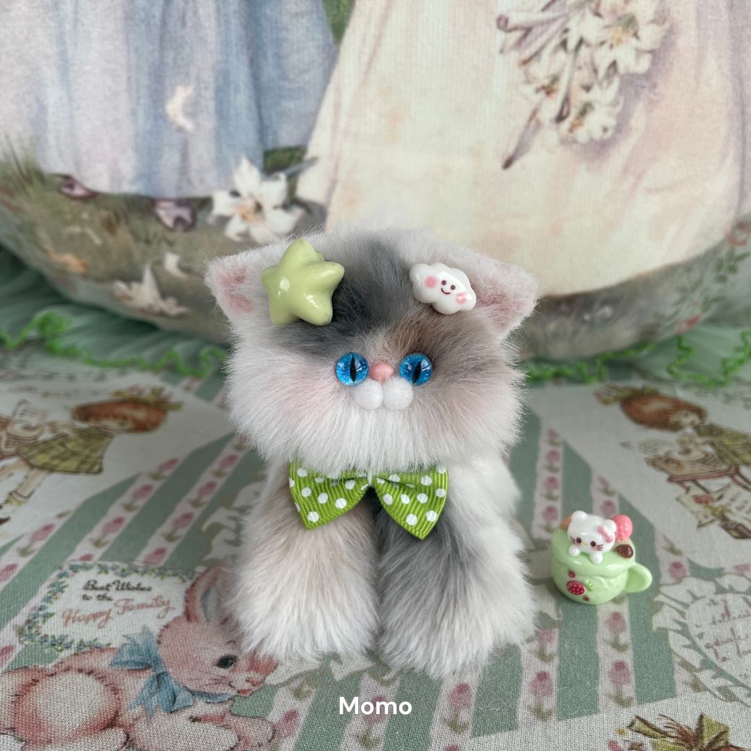 Adorable Kitten Collection