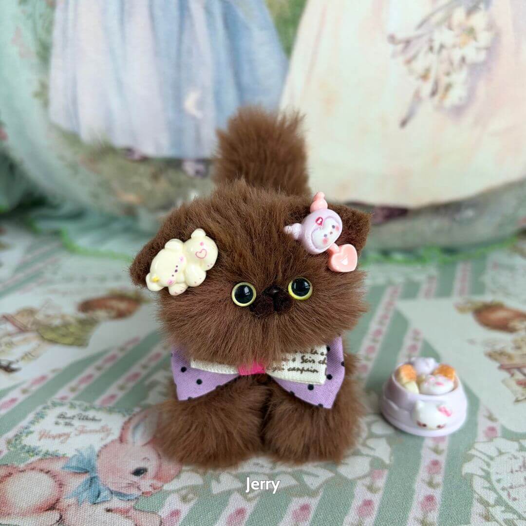 Brown Kitten Collection