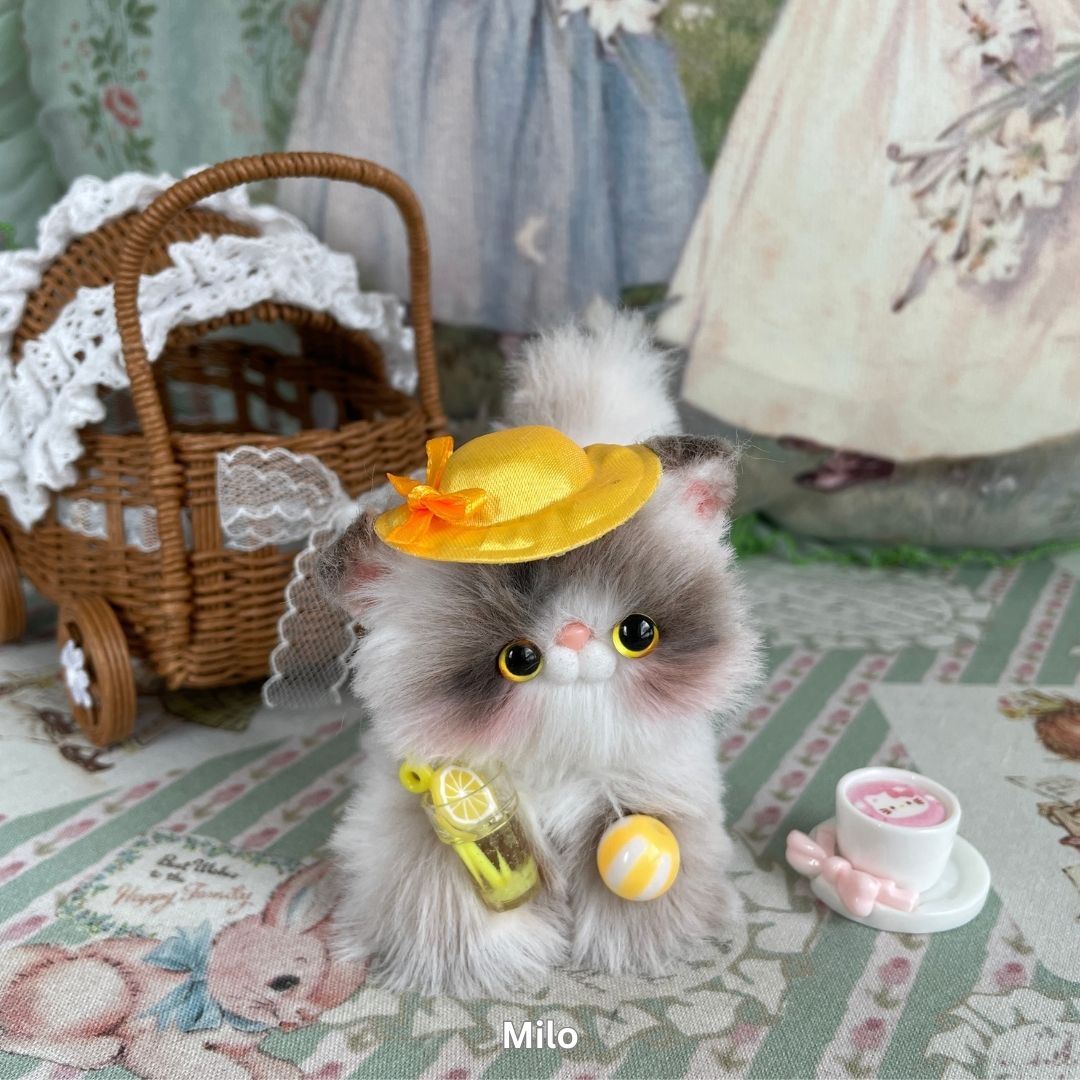 Adorable Kitten Collection