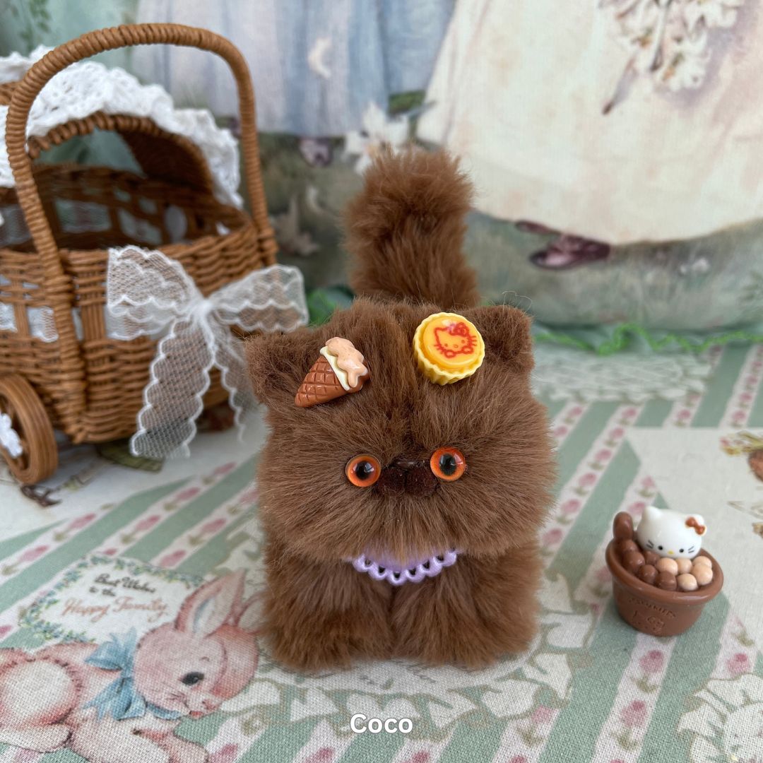 Brown Kitten Collection