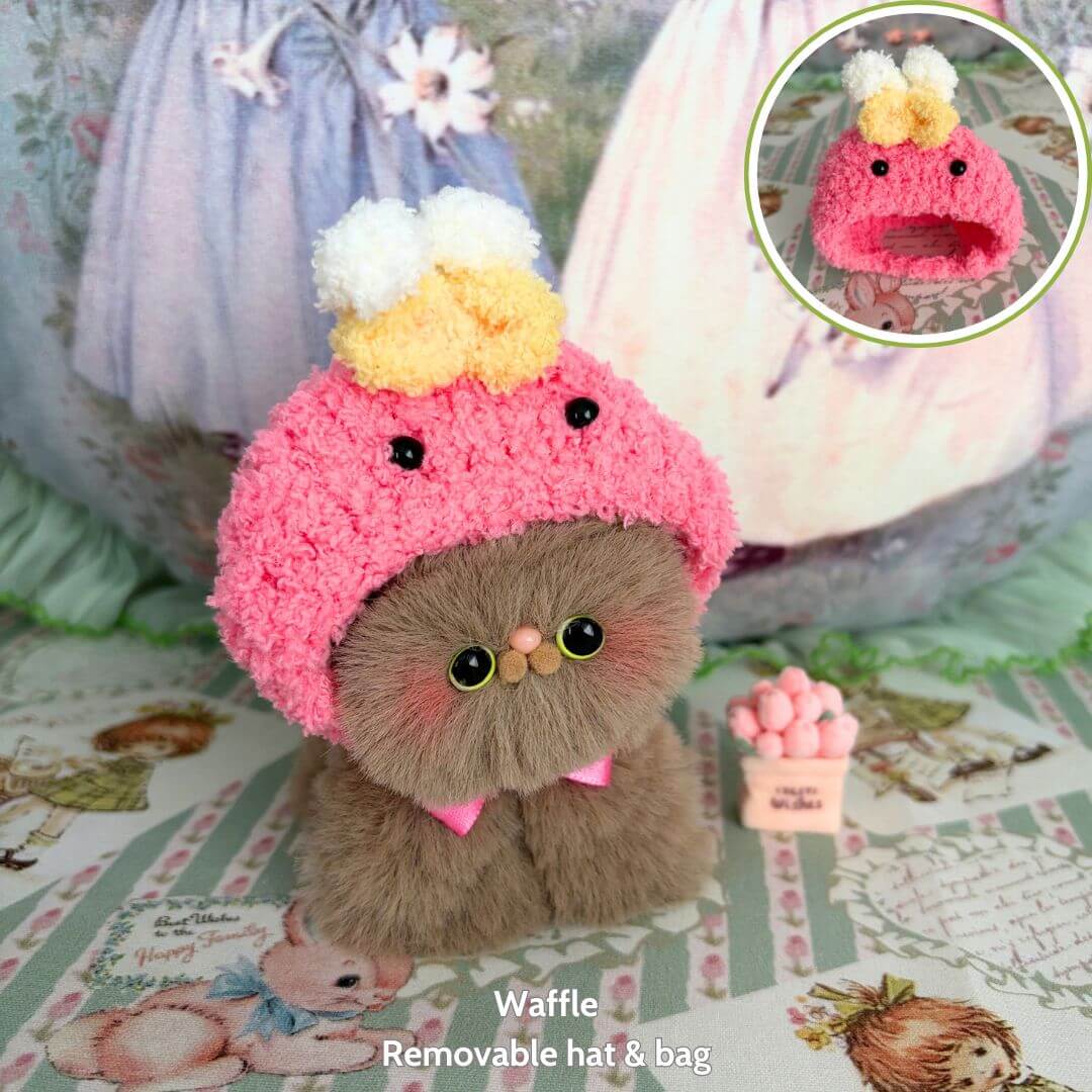 Fluffy Hoodie Kittens