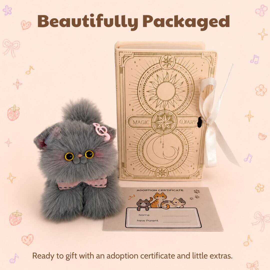Grey Kitten Collection