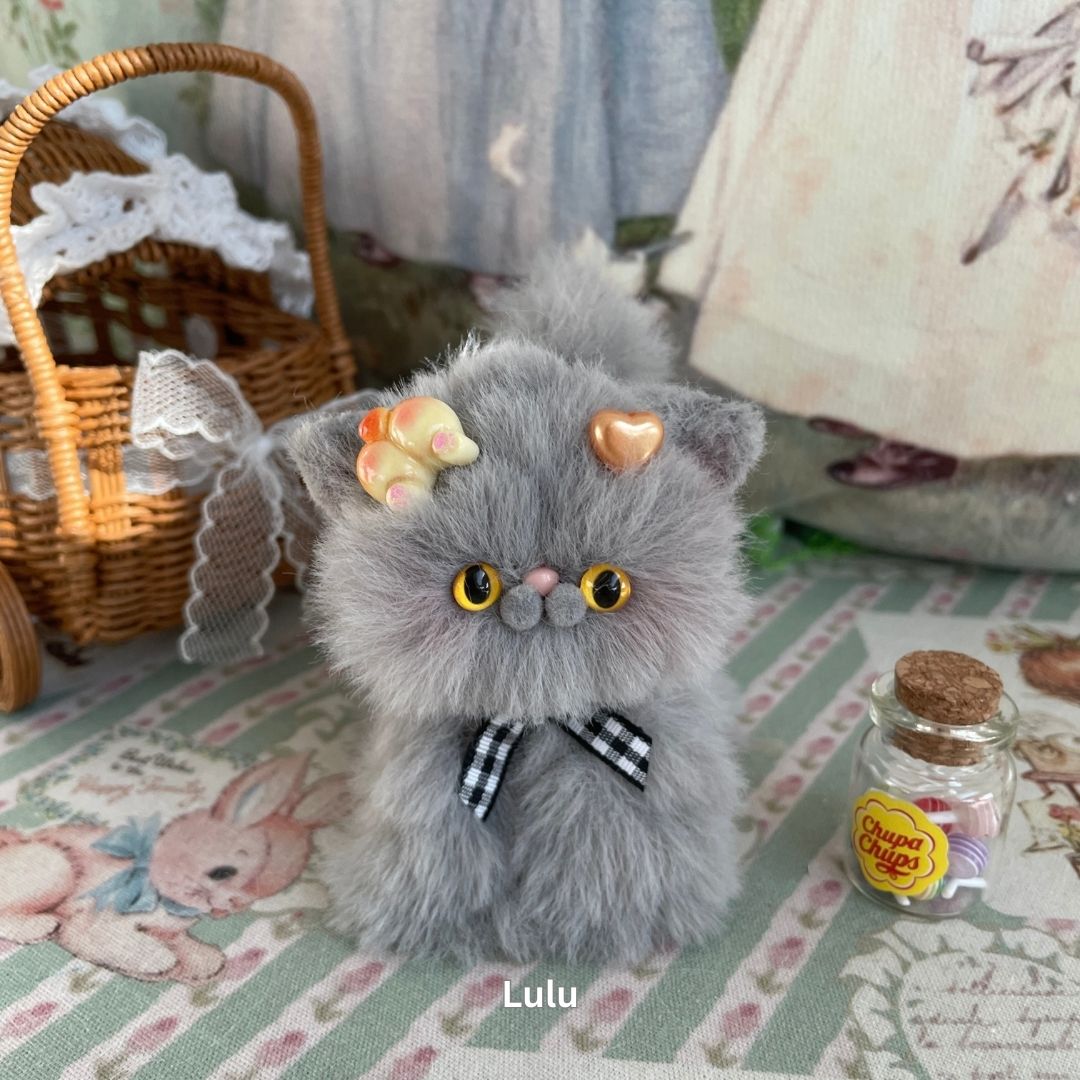 Gray Kitten Collection
