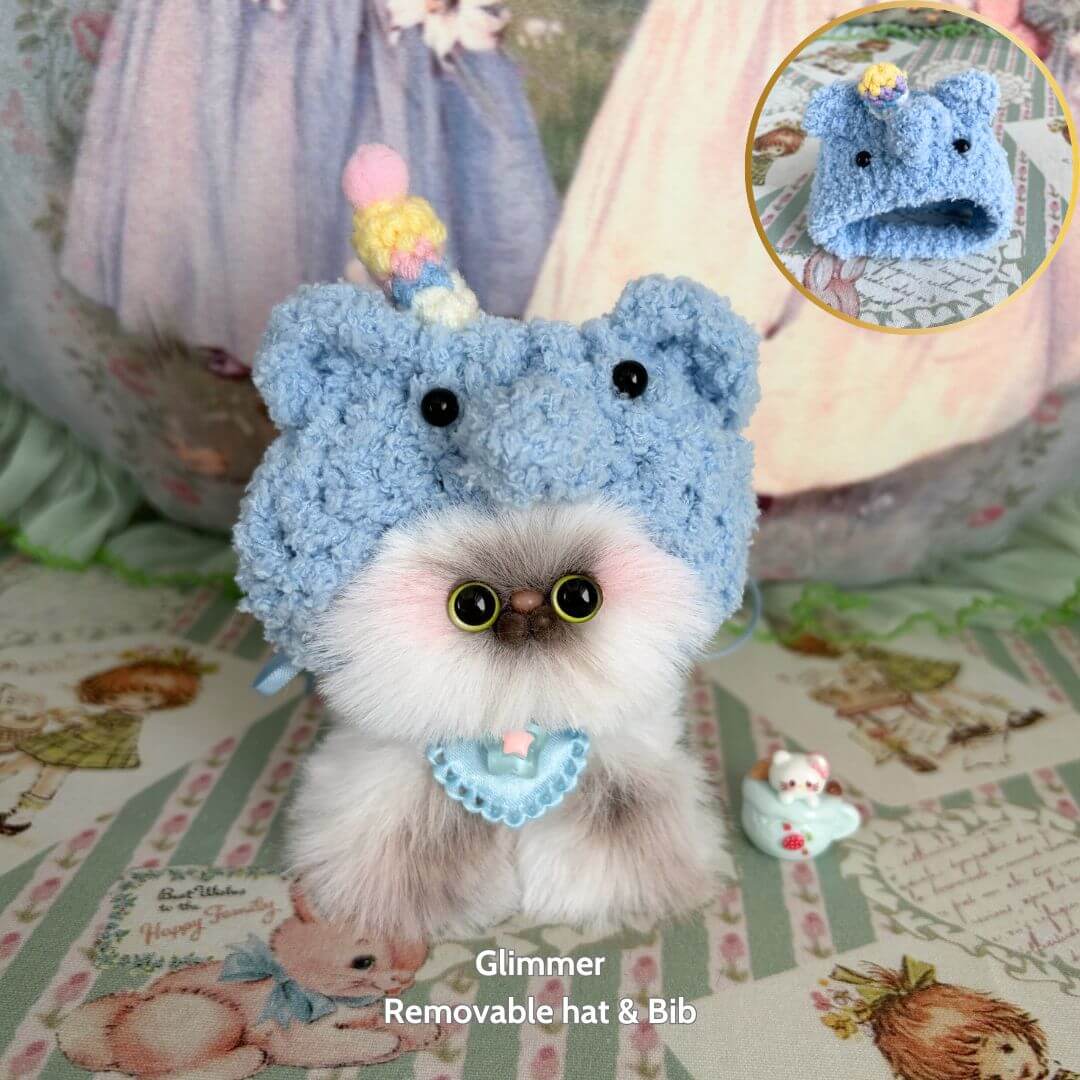 Fluffy Hoodie Kittens