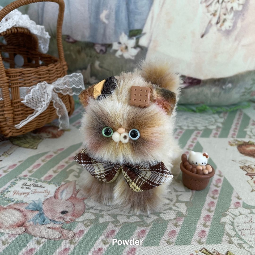 Adorable Kitten Collection
