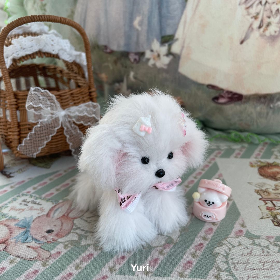 Adorable Puppy Collection