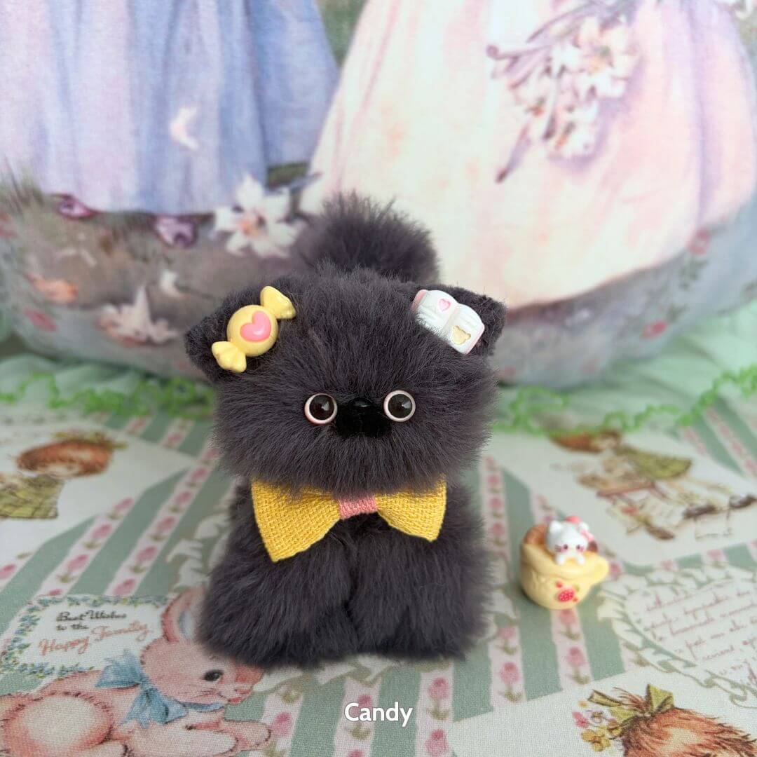 Grey Kitten Collection