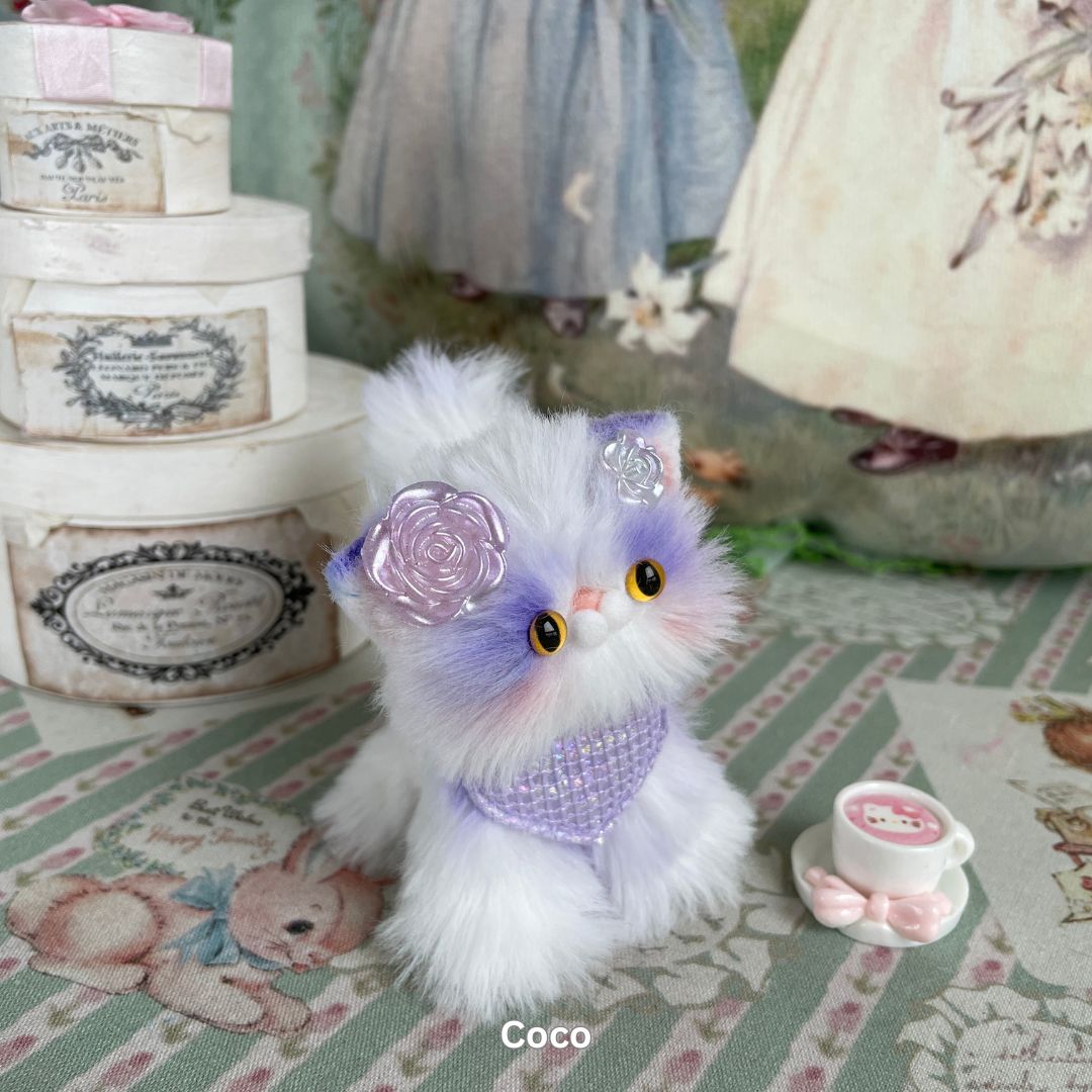 Sweet Dreams Kitten Collection