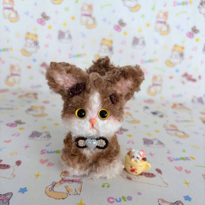 Devon Rex Kitties