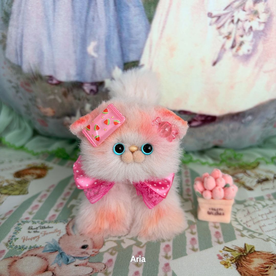 Adorable Kitten Collection