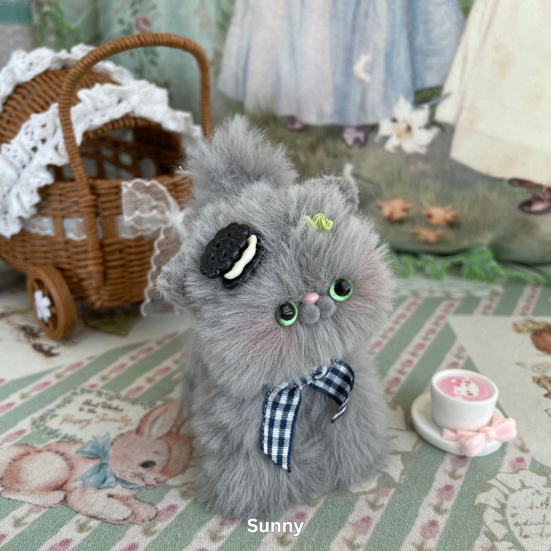 Gray Kitten Collection