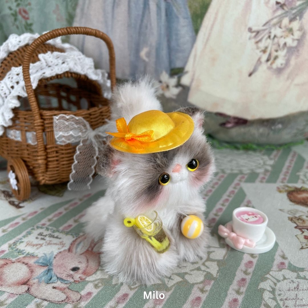 Adorable Kitten Collection