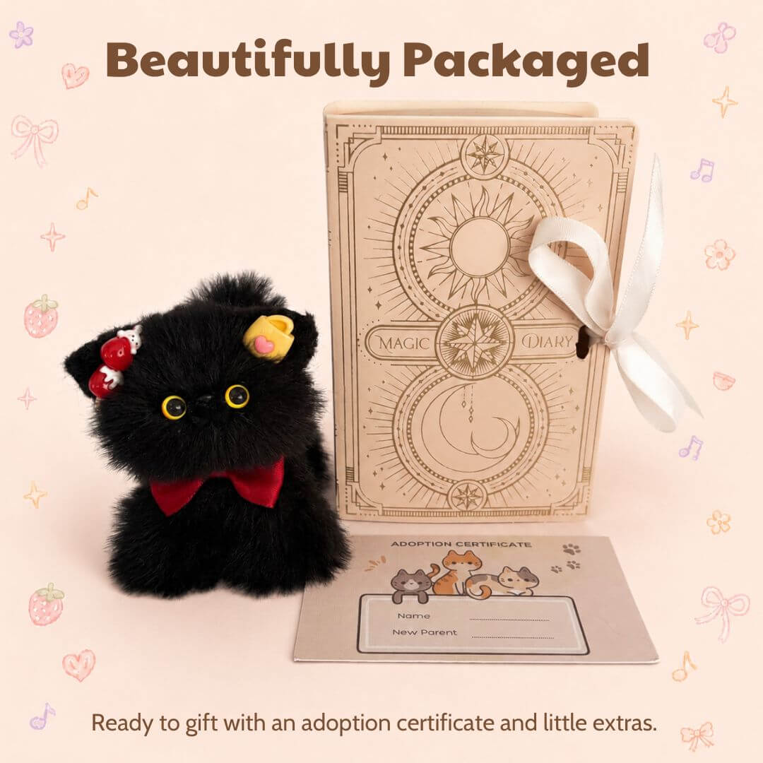 Black Kitten Collection