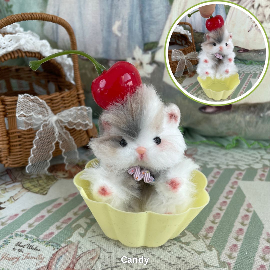Adorable Hamsters Collection