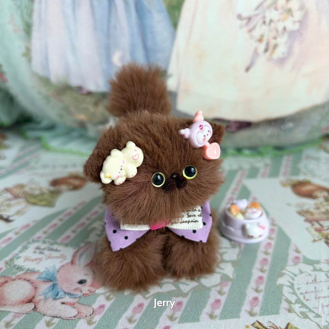 Brown Kitten Collection