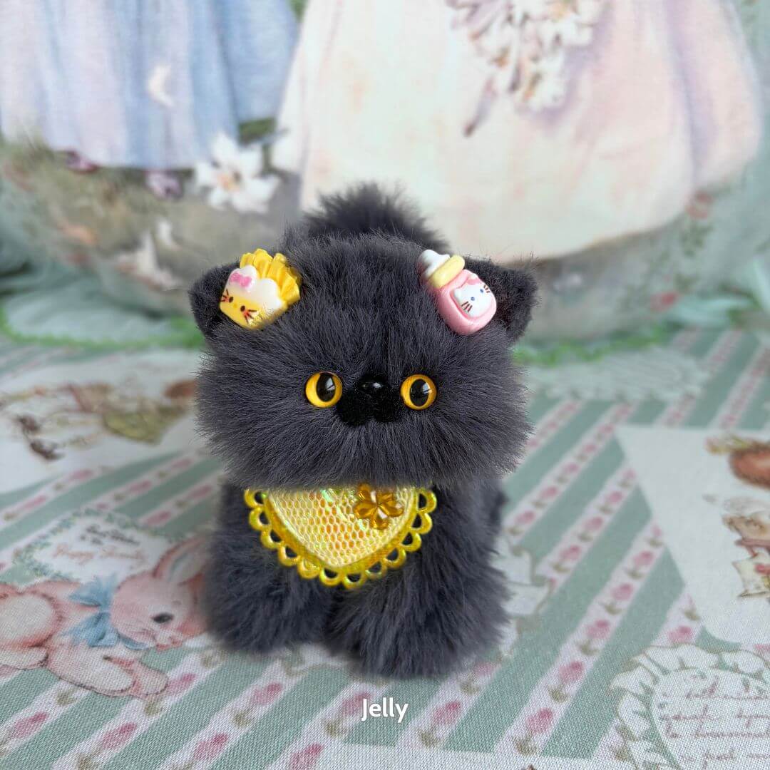 Grey Kitten Collection