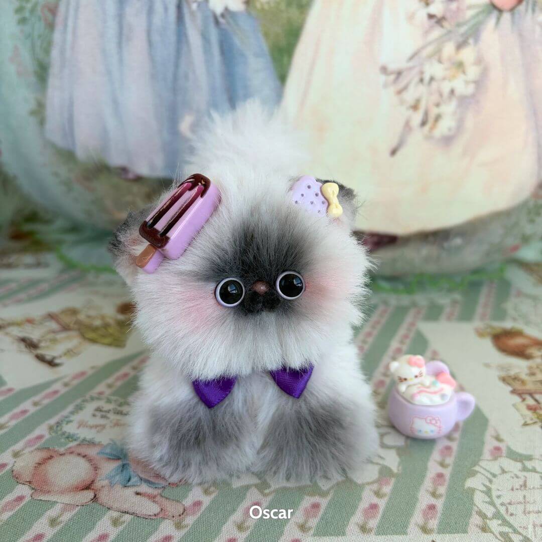 Fluffy Kitten Collection