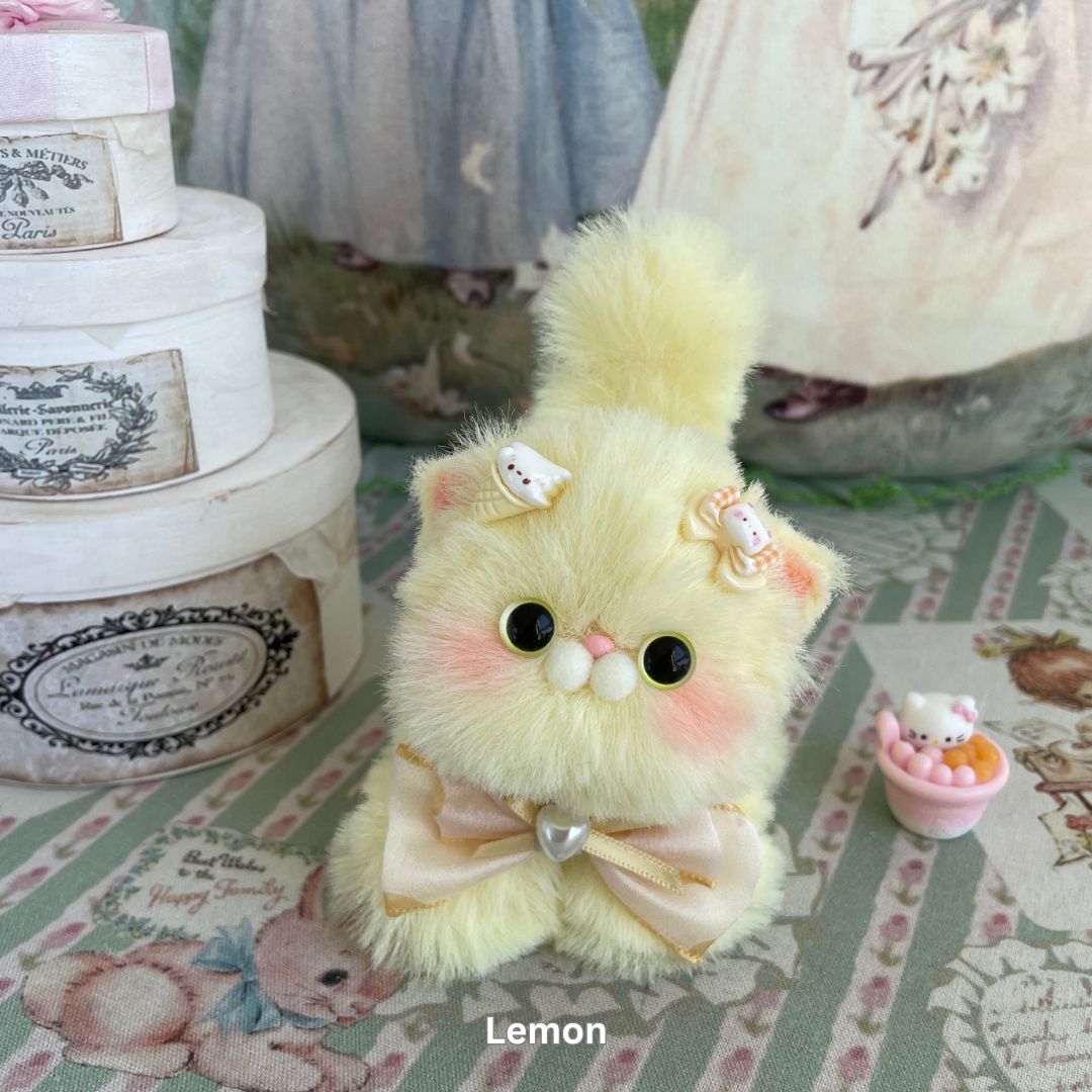 Fluffy Kitten Collection