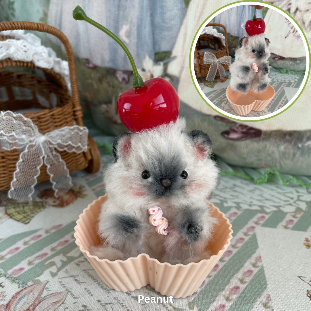 Adorable Hamsters Collection