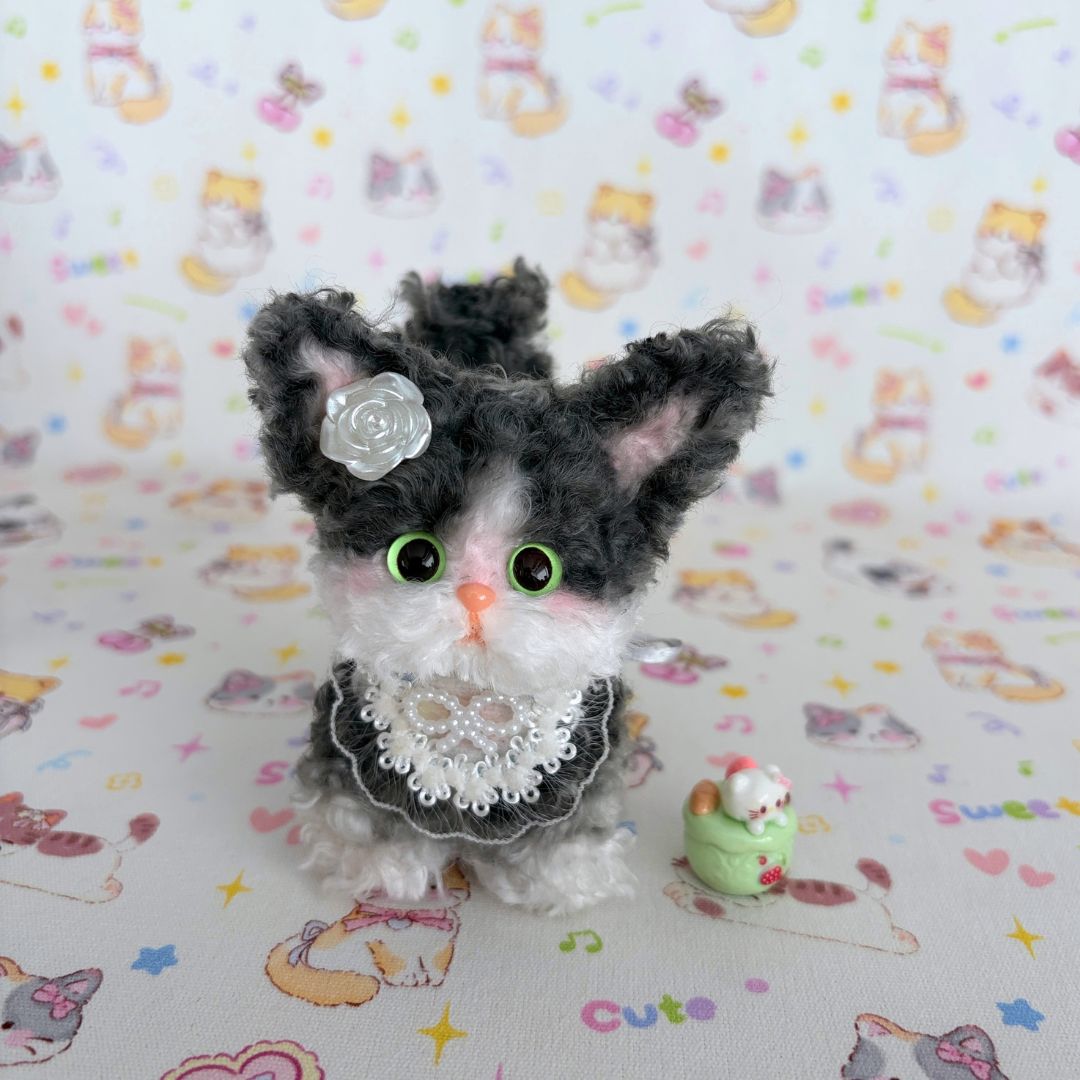 Devon Rex Kitties