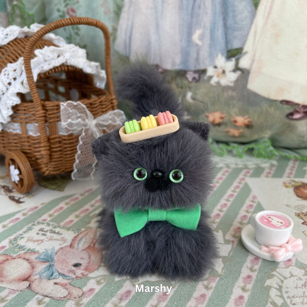 Gray Kitten Collection