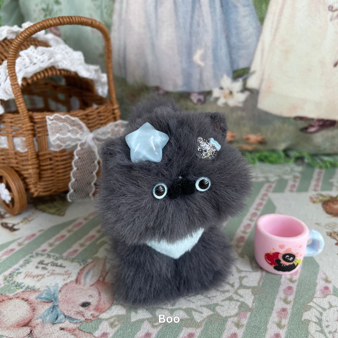 Gray Kitten Collection