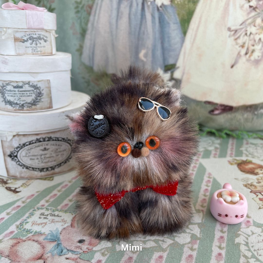 Fluffy Kitten Collection