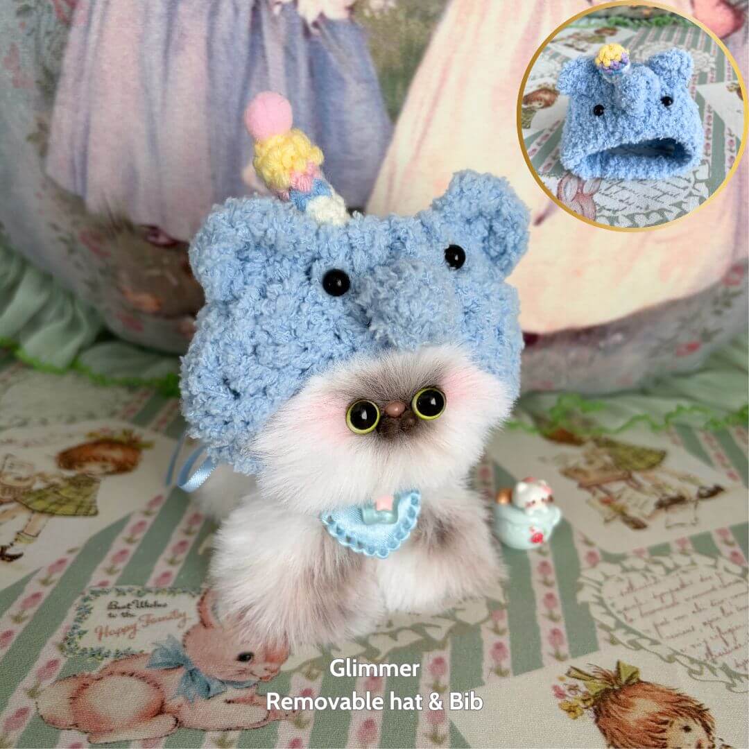 Fluffy Hoodie Kittens