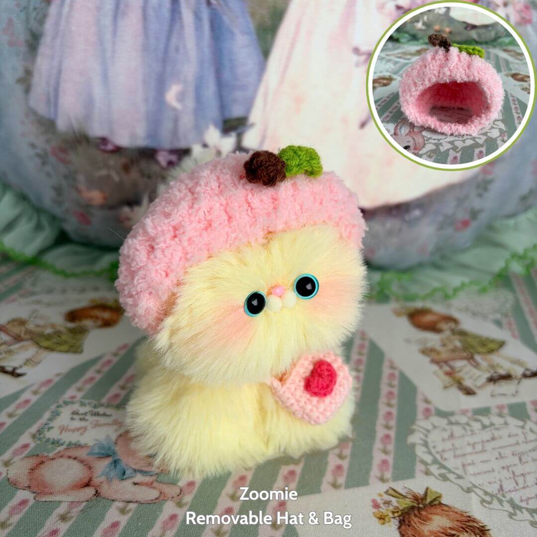 Fluffy Hoodie Kittens