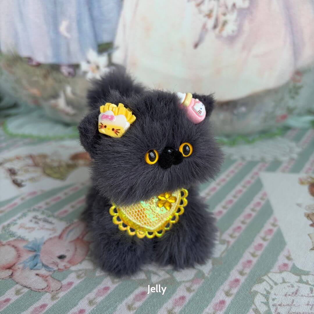 Grey Kitten Collection