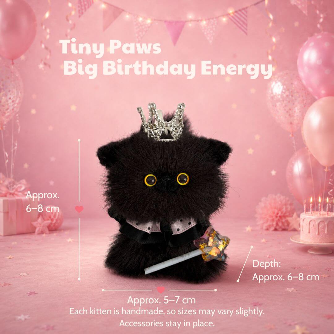 Whiskerwish Birthday Collection