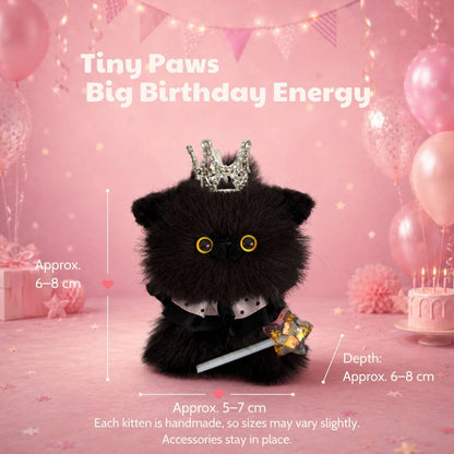 Whiskerwish Birthday Collection