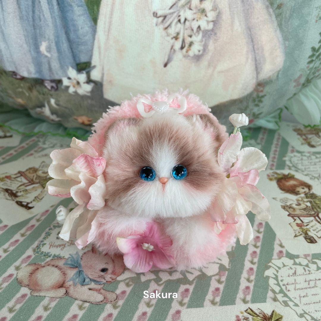 Blossom Kitten Collection