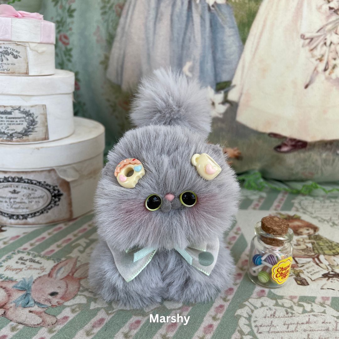 Fluffy Kitten Collection