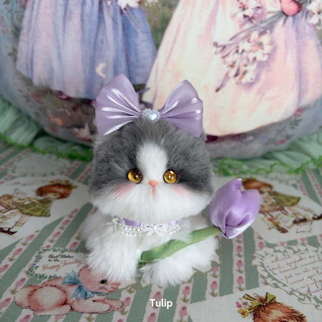 Blossom Kitten Collection