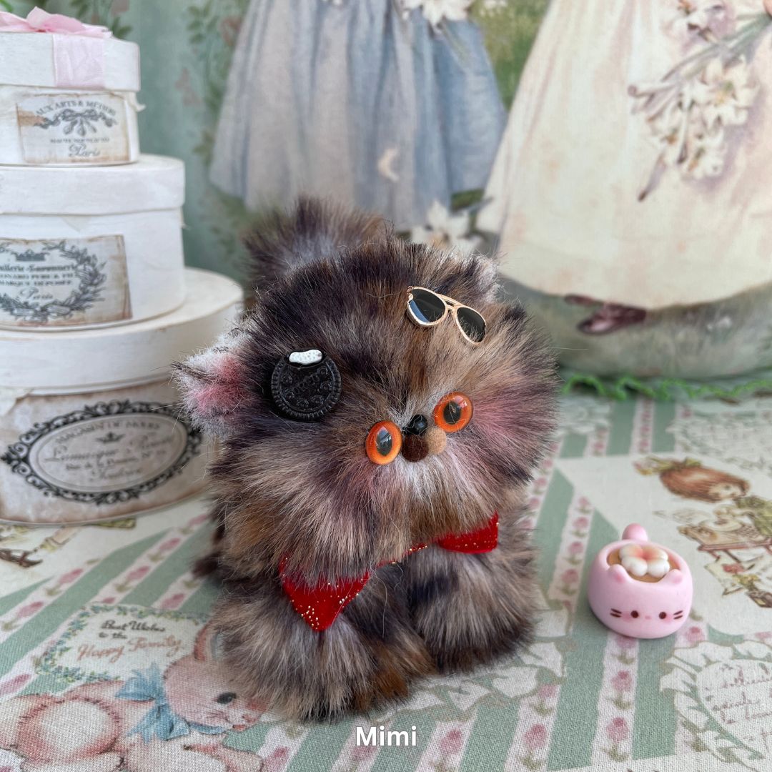Fluffy Kitten Collection
