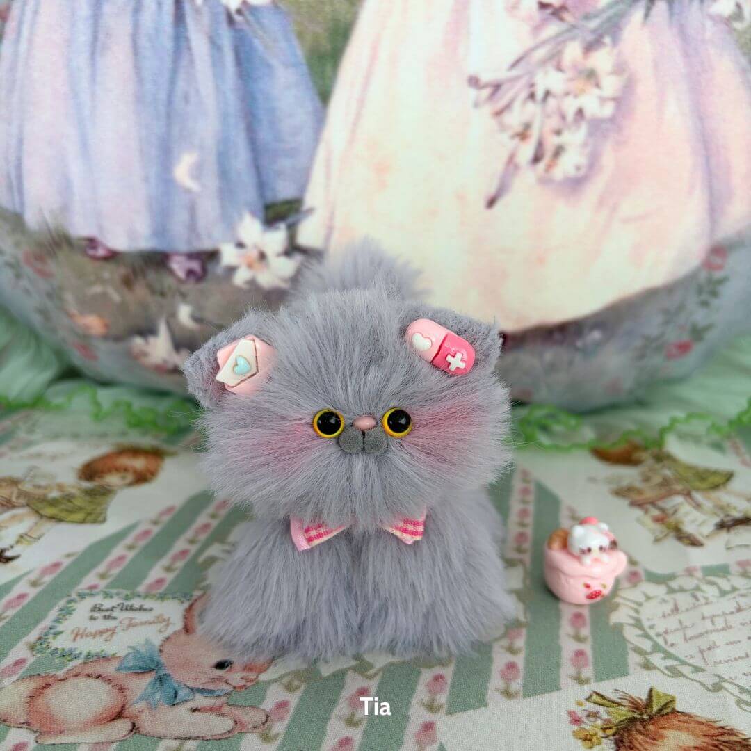 Grey Kitten Collection