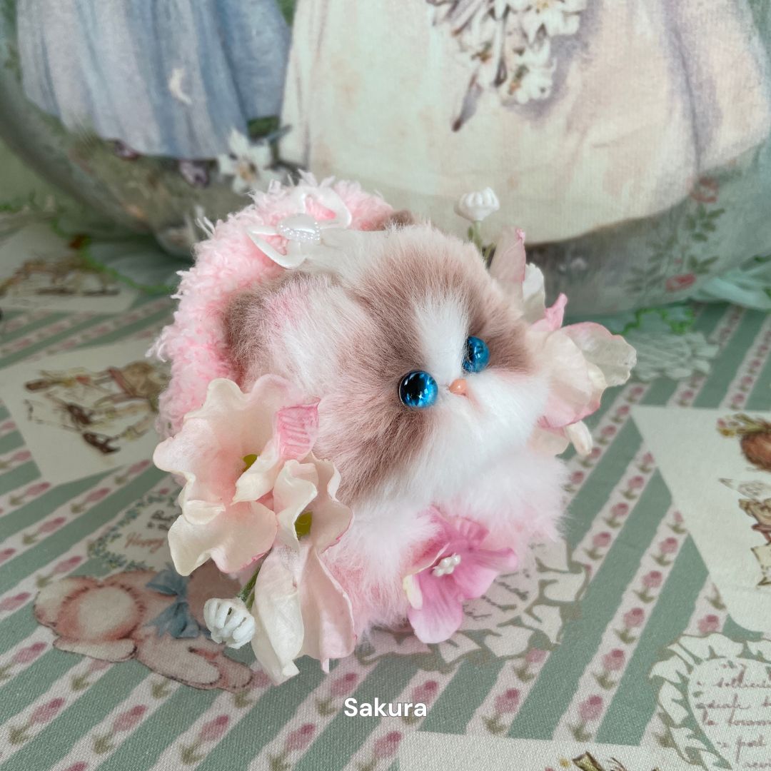 Blossom Kitten Collection